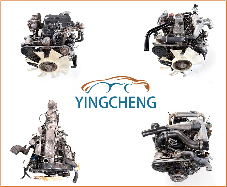 【Today's Happiness】